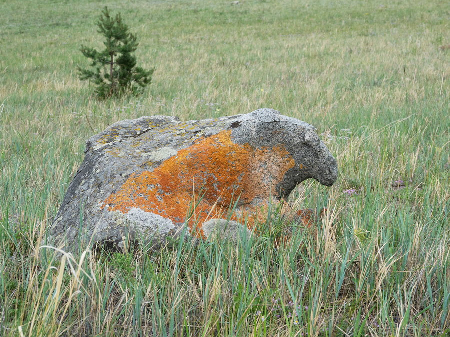Камень-овца
