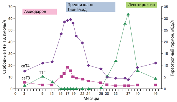 Т4 пмоль л. Амиодарон индуцированный тиреотоксикоз 1 и 2 типа. Амиодарон индуцированный тиреотоксикоз 1 типа. Т3 пмоль/л. Свт3 пмоль/л.