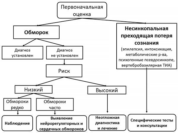 Общая схема диагностики обмороков