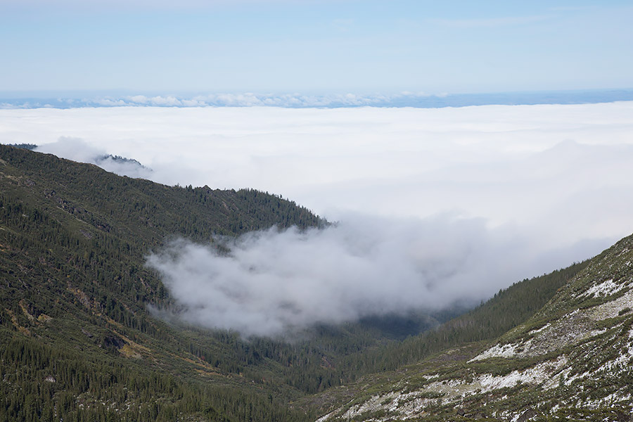 Туман на Хамар-Дабане