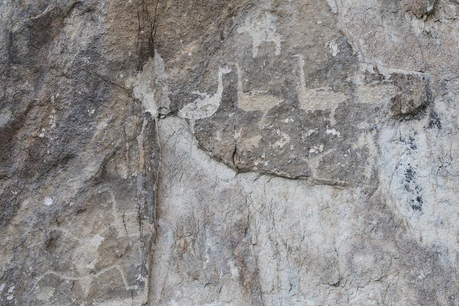 Петроглифы на скале Саган-Заба