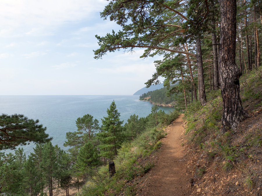 Great Baikal Trail in August