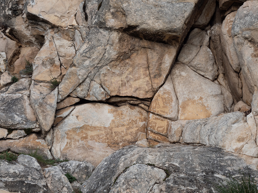 Петроглифы на горе Сахюрта