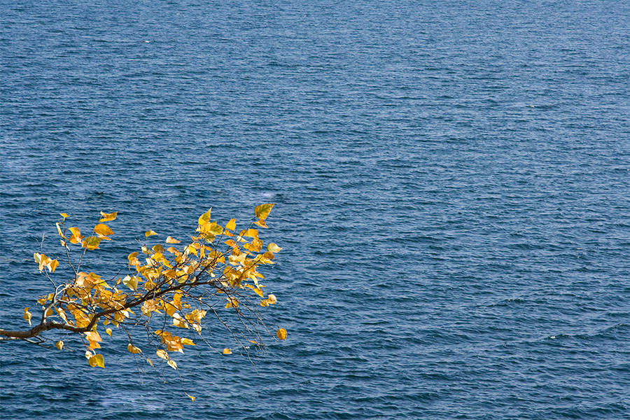 Осенние листья на фоне Байкала