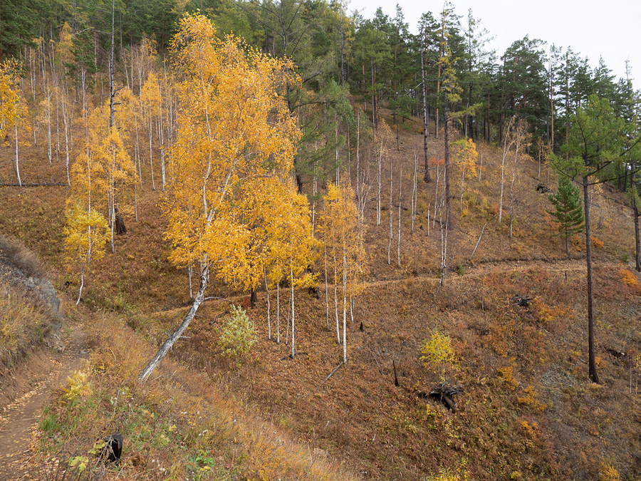 Байкальская тропа осенью