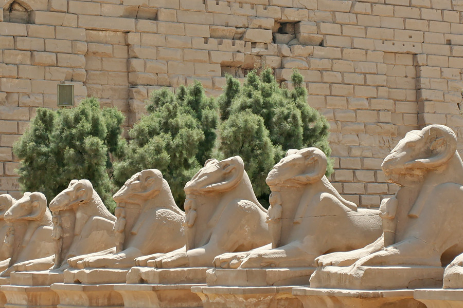 Египет. Аллея сфинксов Карнакского храма в Луксоре